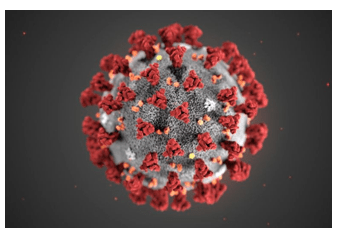 coronavirus 2